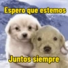 Mis pegatinas 5