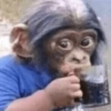 Adesivos de macaquinhos 10