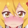 Senko 6