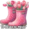 Tulipanes para toda ocasión 🌷 29