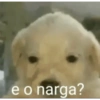 E o narga? 5