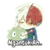 Todoroki 5