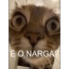 E o narga? 12