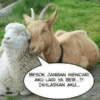 Idul adha kurban 7