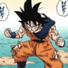 Goku  29