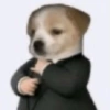 Perritos para contestar 🐕🐾 7
