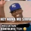 Ayam 14