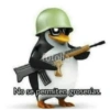 No se permiten groserías.
