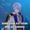 GENSHIN STICKER INDONESIA 15