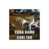 Meme indo 12