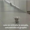 uno no extraña la escuela, uno extraña el grupito