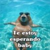 Te estoy esperando baby