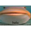 helo