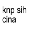 knp sih cina