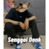 Senggol Donk