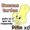 Buenas tardes puto el que no responda Obendicion diariase_ Pilin xd