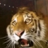 My Reaction TikTok 🔥🔥 14