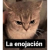 La enojación