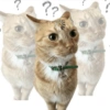 ??