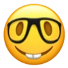 Funny Emoji iPhone 2 📱 17