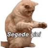 Segede gini