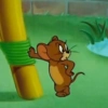 🧿Jerry 🐁🐭 12