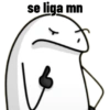 se liga mn
