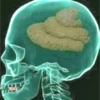 Meme random 14