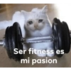 Gym 💪 13