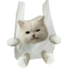Kucing icon meme 17