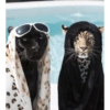 Animals present for u 13