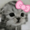 🎀🐱 Los gatitos 🐱🎀 22