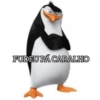 Pinguins de madagascar🐧 6