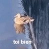 😎 STICKERS SHITPOST 16 🤙 14
