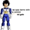 Mi lado tierno solo lo conoce mi gato