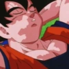 Goku  10