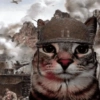 Dilo con gatos 5