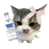 Cat meme makanan 🐈 7