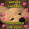 Manda pro teu amor 15
