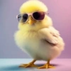 💛🐥Pollitos bonitos🐥💛 7