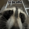 Melhores figurinhas  9