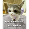 Hehe 13