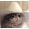 Shitpost Triste 😿 10