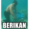 Ikan lohan 9