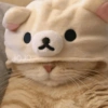 🐈Gatitos Super Cute 💛💟 29