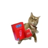 Kucing plenger reaction  9