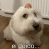 ei doido...