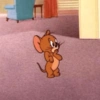 JERRY - TOM & JERRY 13
