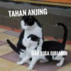 Meme kucing core 🐈 14