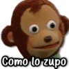 Como lo zupo